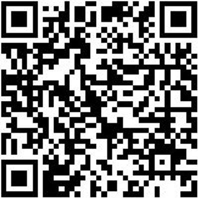 Sicherheitshalbschuh S3 Halbschuh Cruise S3 Schwarz/Gruen 48