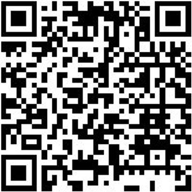 Sicherheitshalbschuh S3 Halbschuh Taurus S3 Schwarz 41