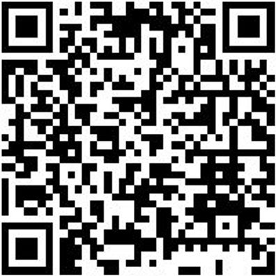 Sicherheitshalbschuh S3 Halbschuh Taurus S3 Schwarz 43