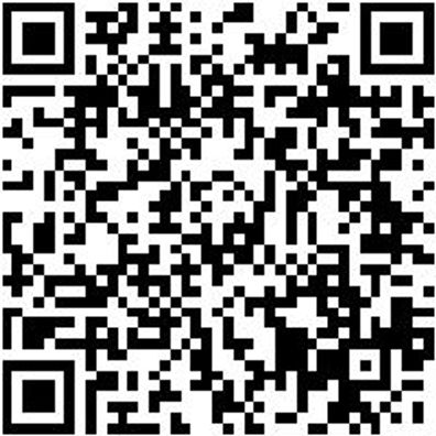 Sicherheitssandale S1P Sandale Flx Techno S1P Schwarz 45