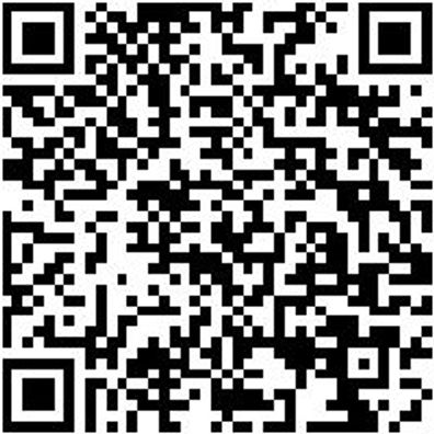 Sicherheitsstiefel S3 Schweisser Stiefel Fornax S3 Schwarz 43