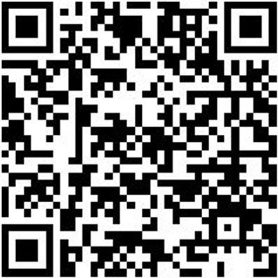 Sicherungszangen Sortiment/Set Sizang-Set-Gd-4Tlg