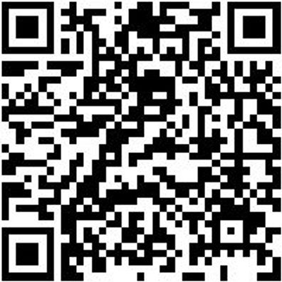 Silentlagerwerkzeug Sortiment/Set Slnlgrwzg-Set-Renault-13Tlg