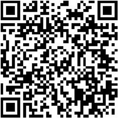 Sicherheitssandale S1P Sandale Flx Techno S1P Schwarz 41