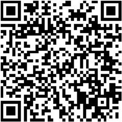 Sicherheitssandale S1P Sandale Flx Techno S1P Schwarz 43