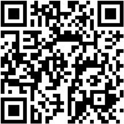 Spaltaxt Spltaxt-Eschenstiel-2000G