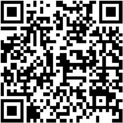 Sicherheitssandale S1P Sandale Stretch X S1P Swz 46