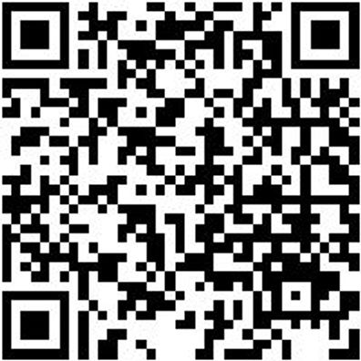 Business-Tasche Rksack-Klein-Bsl