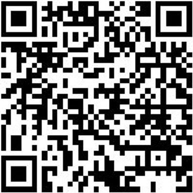 Sicherheitsstiefel S3 Stiefel Treviso S3 Braun 48