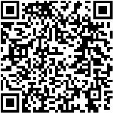 Werkstattwagen Standard Ersatzteile Et-Auszugshn-Wrkstwg-Tlsys-S-L350Mm