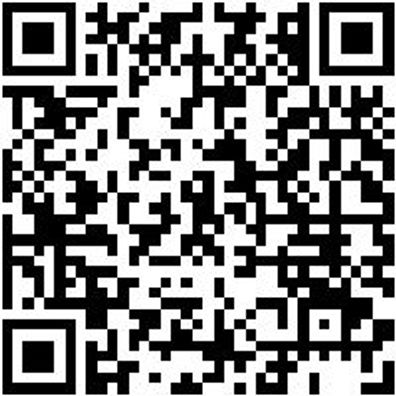 Werkstattwagen We-Serie System Wrkstwg-We-Sys-6-Schwarz