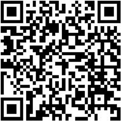 Sicherheitsstiefel S3 Stiefel Nature S3 Braun 43