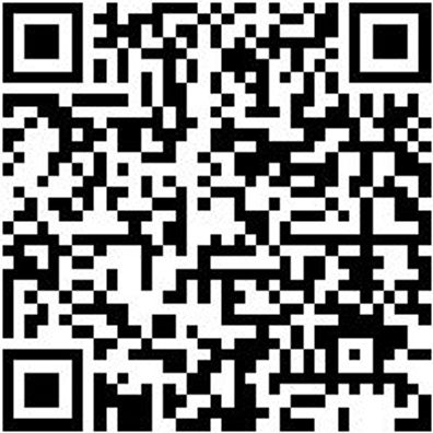 Werkzeugkoffer Wzgkoffr-Schreiner-Leer