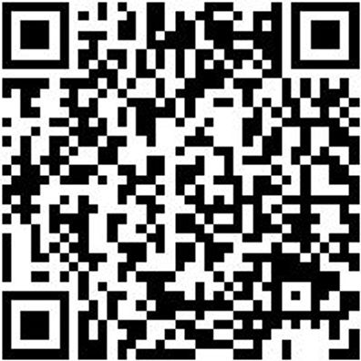 Werkzeugkoffer Wzgkoffr-Rollen-485X385X250Mm