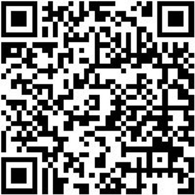 Werkzeugkoffer Zubehör Ersagrf-(F. Wzgkoffr-071593 01)