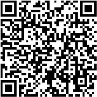 Werkzeugkoffer Zubehör Wzgtafel-(F. Wzgkoffr-071593 00)-Unt