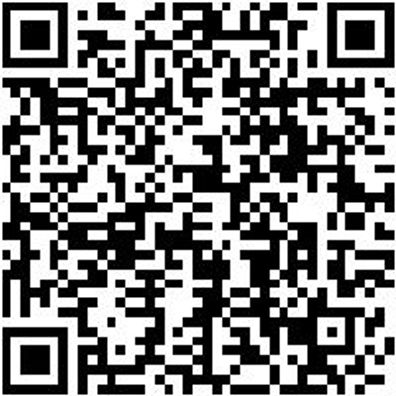 Werkzeugkoffer Zubehör Ersashlo-(F. Wzgkoffr-071593011)