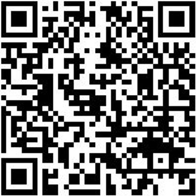 Sicherheitsstiefel S3 Stiefel Hercules S3 Schwarz 37