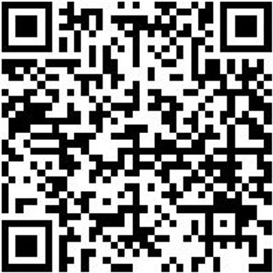 Werkzeugtasche Wzgtash-Organizer-Laptop-430X160X330Mm