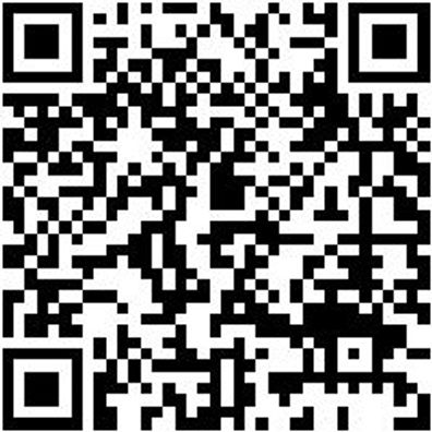 Werkzeugtasche Wzgtash-Kstbod-440X250X340Mm