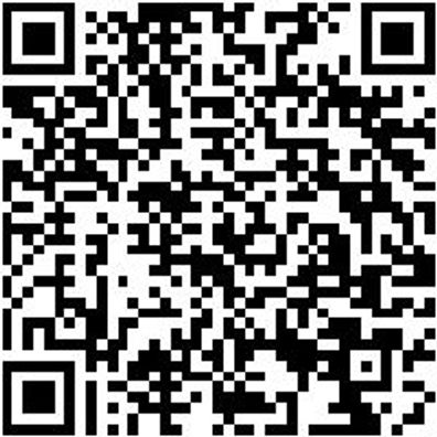 Sicherheitsstiefel S3 Schweisser Stiefel Fornax S3 Schwarz 38