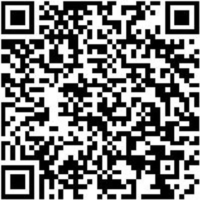 Sicherheitsstiefel S3 Schweisser Stiefel Fornax S3 Schwarz 39