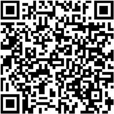 System-Werkbank Wrkbank-2Fu-2000-H955-Ral7016