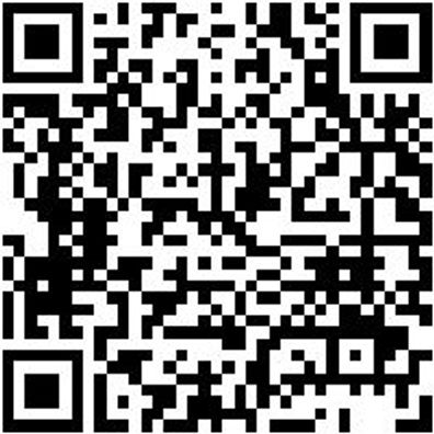 Stabschleifer Druckluft Stabshlf-Dl-Dsw15