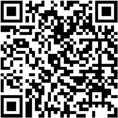 Sicherungszangen Sortiment/Set Sizang-Set-Gd/Gk-4Tlg