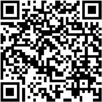 Spachtel Sortiment/Set Spacht-Set-20Tlg