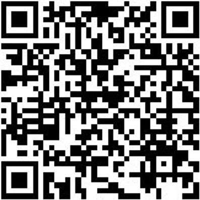 Spachtel Sortiment/Set Spacht-Set-Edst-4Tlg