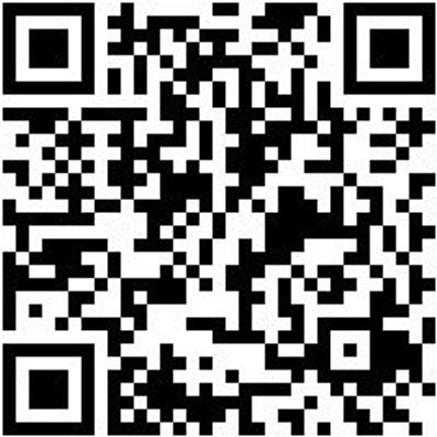 Business-Tasche Tash-Laptop-Bsl