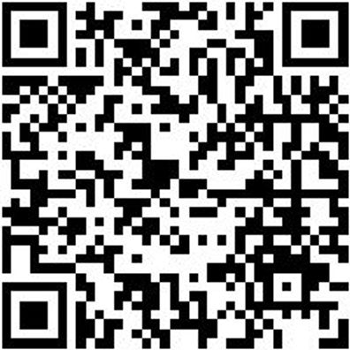 Business-Tasche Rksack-Mittel-Bsl