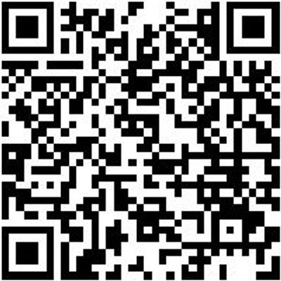 Werkstattwagen Basic Wrkstwg-Basic-8.4-6Sl-Ral7047