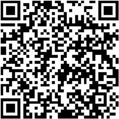 Werkstattwagen Compact Zubehör Auszgshn-(F. Wrkstwg-Compact)-L350Mm