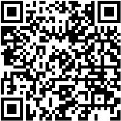 Werkstattwagen Pro Wrkstwg-Pro-8.4-8Sl-Ral9017