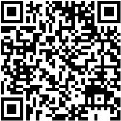 Werkzeugkoffer Wzgkoffr-Pp-485X385X215Mm