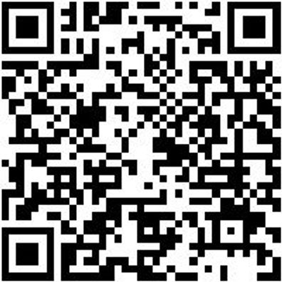 Werkzeugkoffer Zubehör Ersashlopaar-(F. Wzgkoffr-07159301)