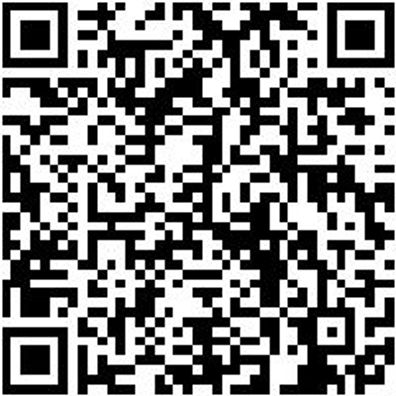 Werkzeugkoffer Zubehör Ersagrf-(F. Wzgkoffr-071593011)