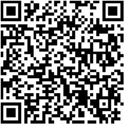 Werkzeugtasche Wzgtash-Klein-Kstbod-310X190X290Mm