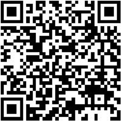 Werkzeugtasche Wzgtash-Fluegelklappe-470X290X330Mm