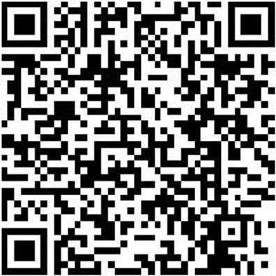 Handytasche Hndytash-Vertikal-Gross-95X30X170Mm