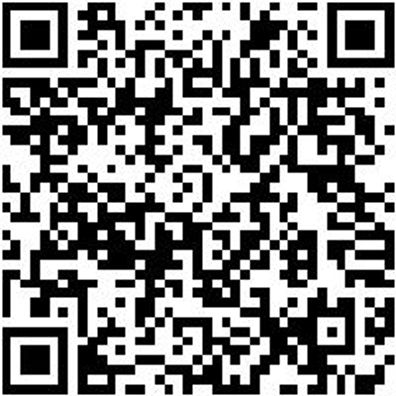 Kettenzug Kettzug-Manuell-3M-Verchromt-3000Kg