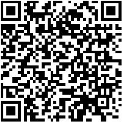 Splinttreiber Spltreib-5Mm-L150Mm