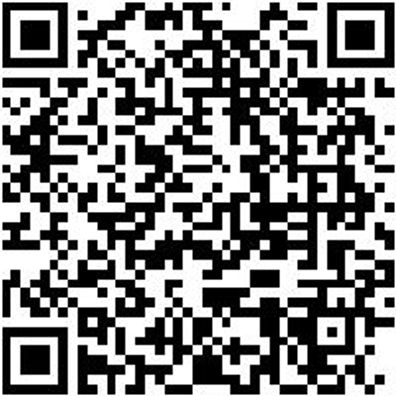 Splinttreiber Spltreib-16Mm-L290Mm