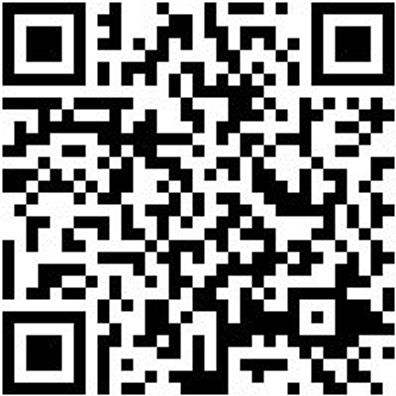 Stechbeitel Stechbeit-Din5139-B10Mm