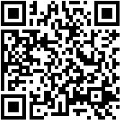 Stechbeitel Stechbeit-Din5139-B16Mm