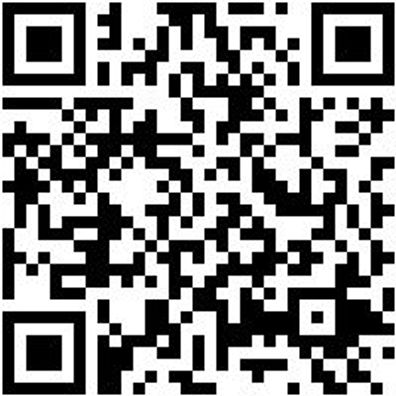 Stechbeitel Stechbeit-Din5139-B22Mm