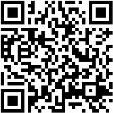 Stechbeitel Stechbeit-Din5139-B35Mm