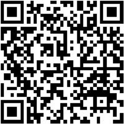 Stechbeitel Stechbeit-2K-12Mm